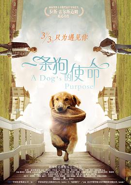 张筱雨xxxxxxxx